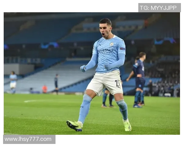 费兰托雷斯：从新星崛起到世界足球舞台的璀璨之星